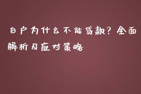 白户为什么不能贷款？全面解析及应对策略_https://cj004.lansai.wang_金融监管_第1张