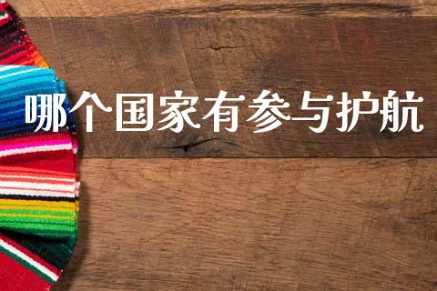 哪个国家有参与护航_https://cj004.lansai.wang_金融监管_第1张