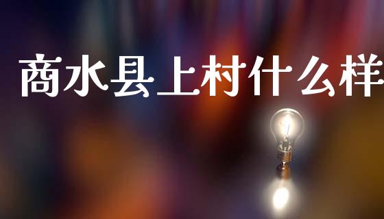 商水县上村什么样_https://cj004.lansai.wang_债券资讯_第1张