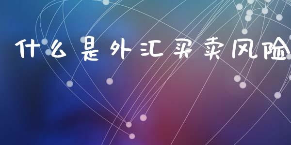 什么是外汇买卖风险_https://cj004.lansai.wang_金融监管_第1张