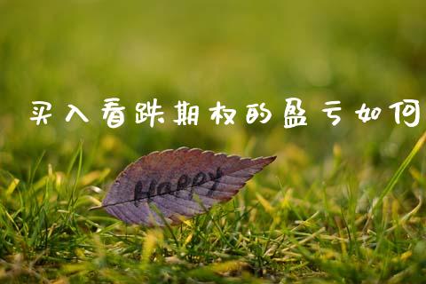 买入看跌期权的盈亏如何_https://cj004.lansai.wang_财经新闻_第1张