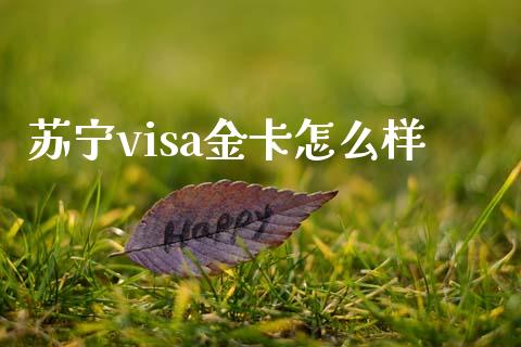 苏宁visa金卡怎么样_https://cj004.lansai.wang_金融监管_第1张