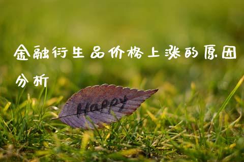 金融衍生品价格上涨的原因分析_https://cj004.lansai.wang_期货开户_第1张
