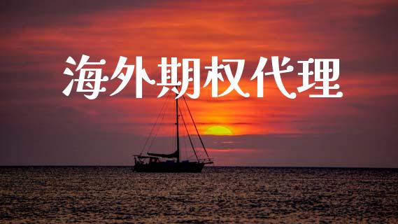 海外期权代理_https://cj004.lansai.wang_金融监管_第1张