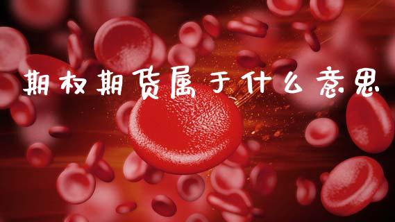期权期货属于什么意思_https://cj004.lansai.wang_债券资讯_第1张