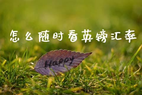 怎么随时看英镑汇率_https://cj004.lansai.wang_财经新闻_第1张