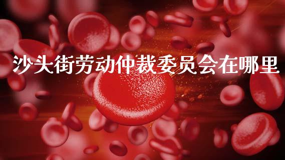 沙头街劳动仲裁委员会在哪里_https://cj004.lansai.wang_财经新闻_第1张