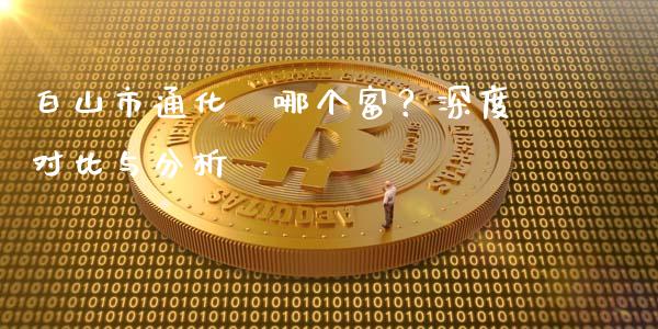 白山市通化巿哪个富？深度对比与分析_https://cj004.lansai.wang_外汇交易_第1张