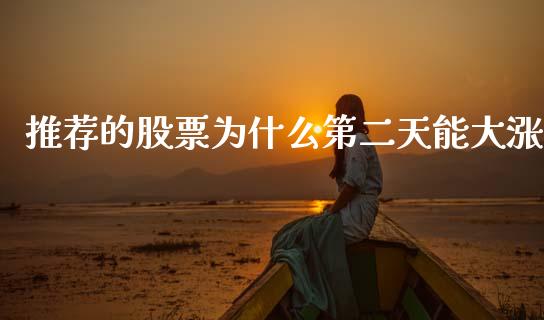 推荐的股票为什么第二天能大涨_https://cj004.lansai.wang_金融监管_第1张