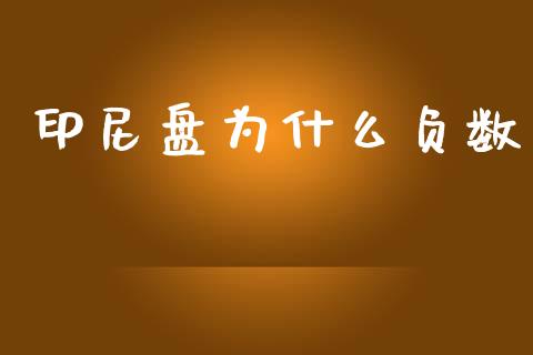 印尼盘为什么负数_https://cj004.lansai.wang_金融监管_第1张