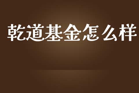 乾道基金怎么样_https://cj004.lansai.wang_财经新闻_第1张
