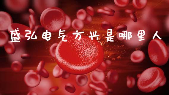 盛弘电气方兴是哪里人_https://cj004.lansai.wang_债券资讯_第1张