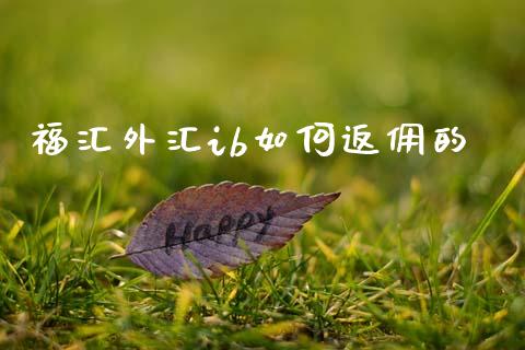 福汇外汇ib如何返佣的_https://cj004.lansai.wang_期货开户_第1张