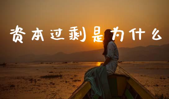 资本过剩是为什么_https://cj004.lansai.wang_财经新闻_第1张