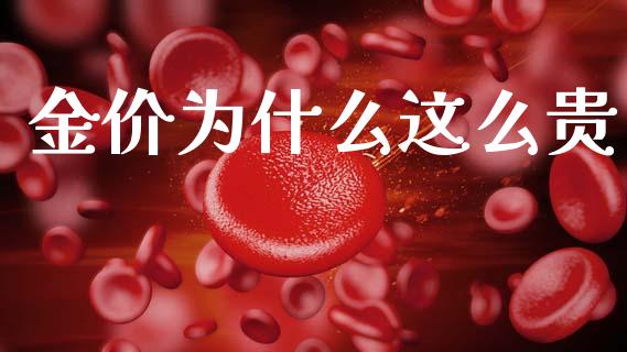 金价为什么这么贵_https://cj004.lansai.wang_外汇交易_第1张