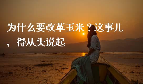 为什么要改革玉米？这事儿，得从头说起_https://cj004.lansai.wang_财经新闻_第1张