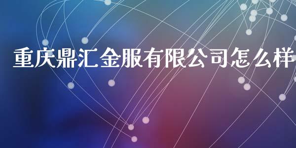 重庆鼎汇金服有限公司怎么样_https://cj004.lansai.wang_外汇交易_第1张