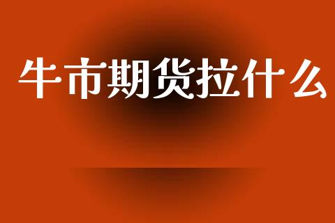 牛市期货拉什么_https://cj004.lansai.wang_债券资讯_第1张