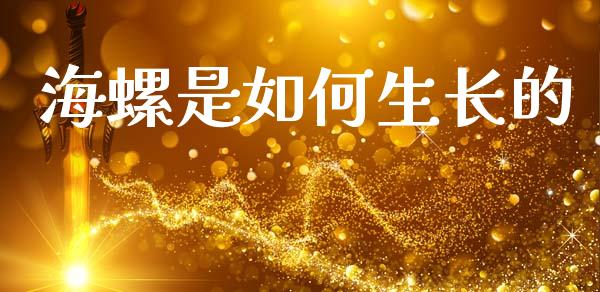 海螺是如何生长的_https://cj004.lansai.wang_财经新闻_第1张