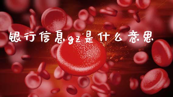 银行信息gz是什么意思_https://cj004.lansai.wang_外汇交易_第1张