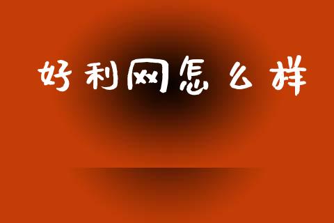好利网怎么样_https://cj004.lansai.wang_财经新闻_第1张