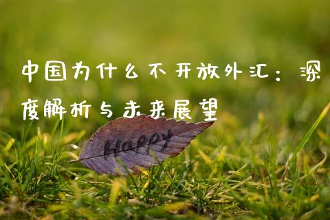 中国为什么不开放外汇：深度解析与未来展望_https://cj004.lansai.wang_期货开户_第1张