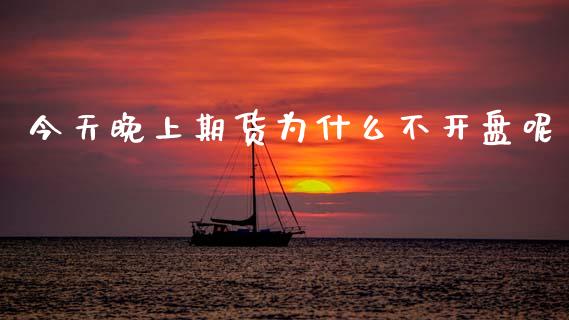 今天晚上期货为什么不开盘呢_https://cj004.lansai.wang_金融监管_第1张