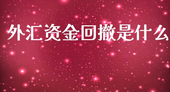 外汇资金回撤是什么_https://cj004.lansai.wang_全球市场_第1张
