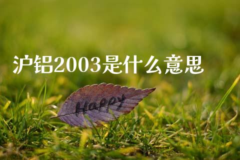 沪铝2003是什么意思_https://cj004.lansai.wang_全球市场_第1张