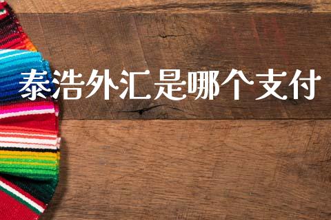 泰浩外汇是哪个支付_https://cj004.lansai.wang_期货开户_第1张
