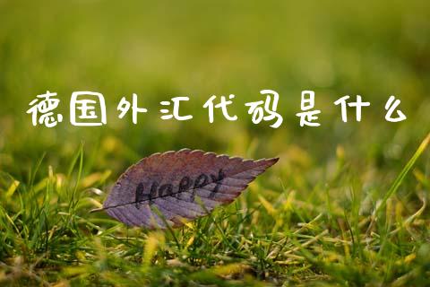 德国外汇代码是什么_https://cj004.lansai.wang_财经新闻_第1张