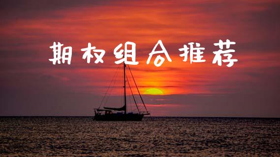 期权组合推荐_https://cj004.lansai.wang_财经新闻_第1张