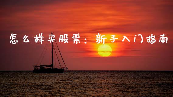 怎么样买股票：新手入门指南_https://cj004.lansai.wang_债券资讯_第1张