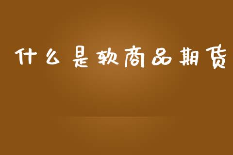 什么是软商品期货_https://cj004.lansai.wang_债券资讯_第1张