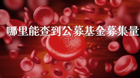 哪里能查到公募基金募集量_https://cj004.lansai.wang_期货开户_第1张