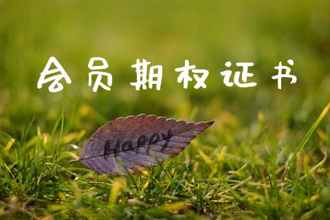 会员期权证书_https://cj004.lansai.wang_外汇交易_第1张