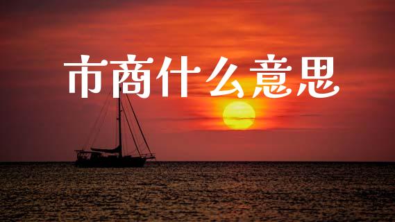 市商什么意思_https://cj004.lansai.wang_期货开户_第1张