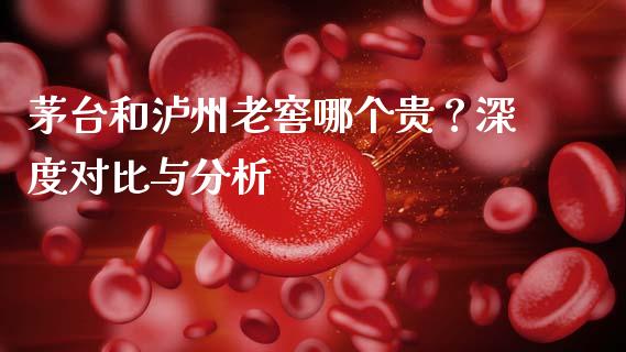 茅台和泸州老窖哪个贵？深度对比与分析_https://cj004.lansai.wang_债券资讯_第1张