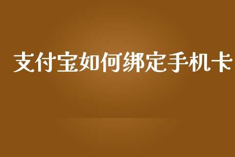 支付宝如何绑定手机卡_https://cj004.lansai.wang_金融监管_第1张