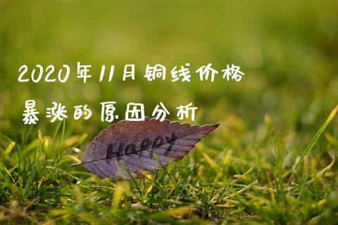 2020年11月铜线价格暴涨的原因分析_https://cj004.lansai.wang_全球市场_第1张