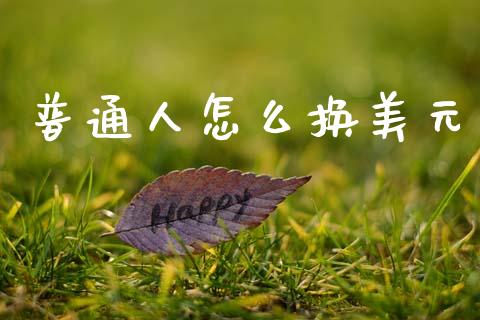 普通人怎么换美元_https://cj004.lansai.wang_全球市场_第1张