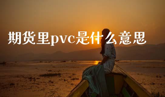期货里pvc是什么意思_https://cj004.lansai.wang_债券资讯_第1张