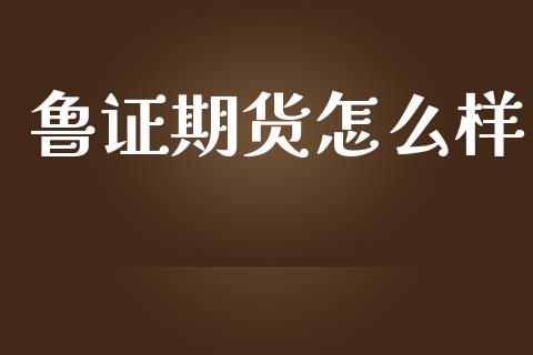 鲁证期货怎么样_https://cj004.lansai.wang_外汇交易_第1张