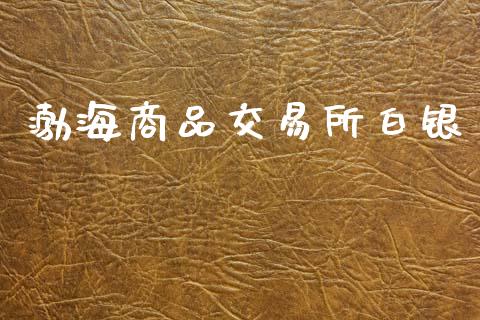 渤海商品交易所白银_https://cj004.lansai.wang_外汇交易_第1张