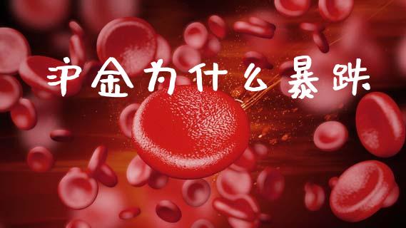 沪金为什么暴跌_https://cj004.lansai.wang_金融监管_第1张