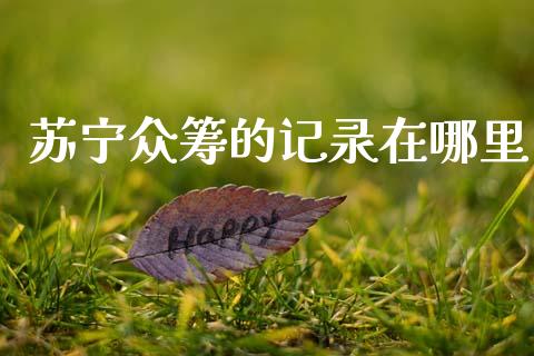 苏宁众筹的记录在哪里_https://cj004.lansai.wang_财经新闻_第1张