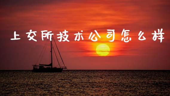 上交所技术公司怎么样_https://cj004.lansai.wang_金融监管_第1张
