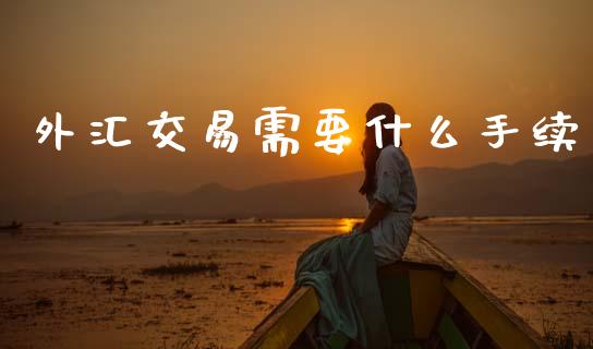 外汇交易需要什么手续_https://cj004.lansai.wang_外汇交易_第1张