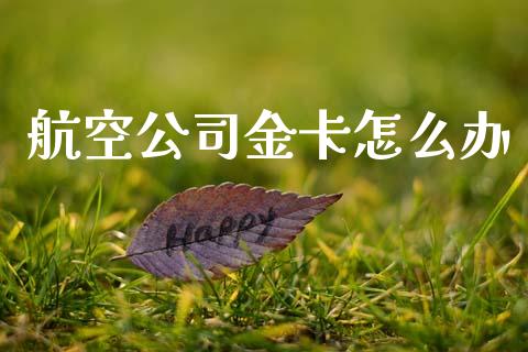 航空公司金卡怎么办_https://cj004.lansai.wang_财经新闻_第1张