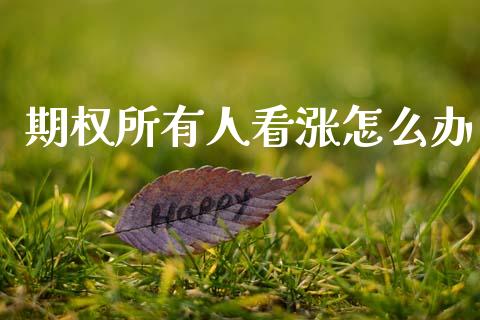 期权所有人看涨怎么办_https://cj004.lansai.wang_期货开户_第1张